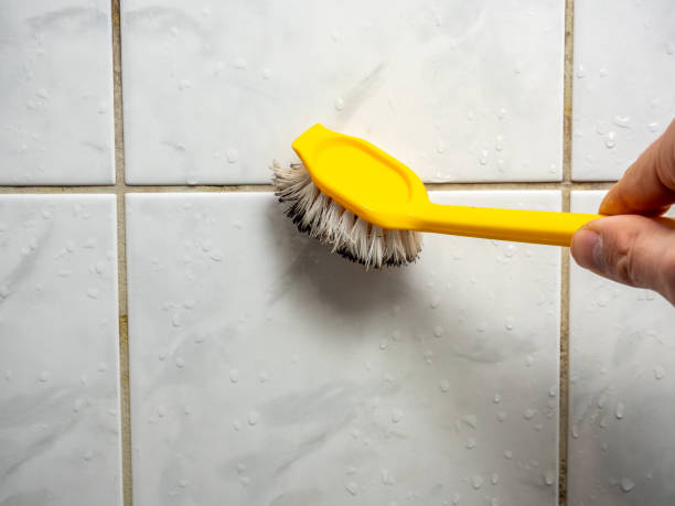 Best Post-Remediation Services in Houghton Lake, MI