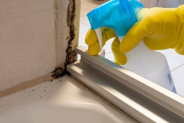 Best Industrial Mold Remediation in Houghton Lake, MI